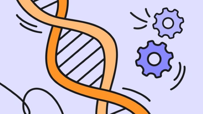 [РБК] Доступный биохакинг_ как прожить до 120 лет _0.jpg